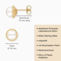 Engelsrufer Damen Ohrstecker Silber Vergoldet Mit Muschelkernperle 7 Engelsrufer Damen Ohrstecker Silber Vergoldet Mit Muschelkernperle -Engelsrufer Kette Verkäufe ere glory stg 6 de